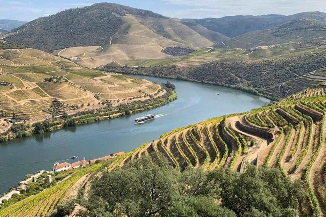 View of Douro hills and river