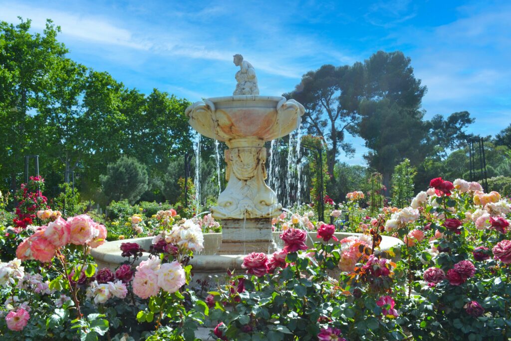 madrid rose gardens