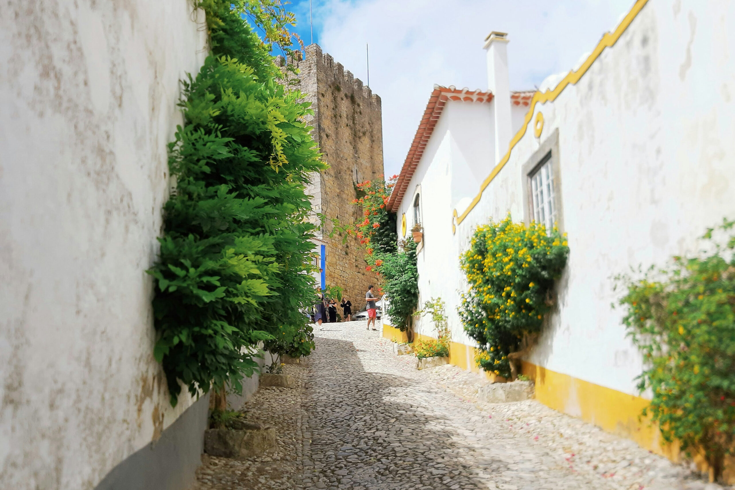 cobblestone streets of obidos
