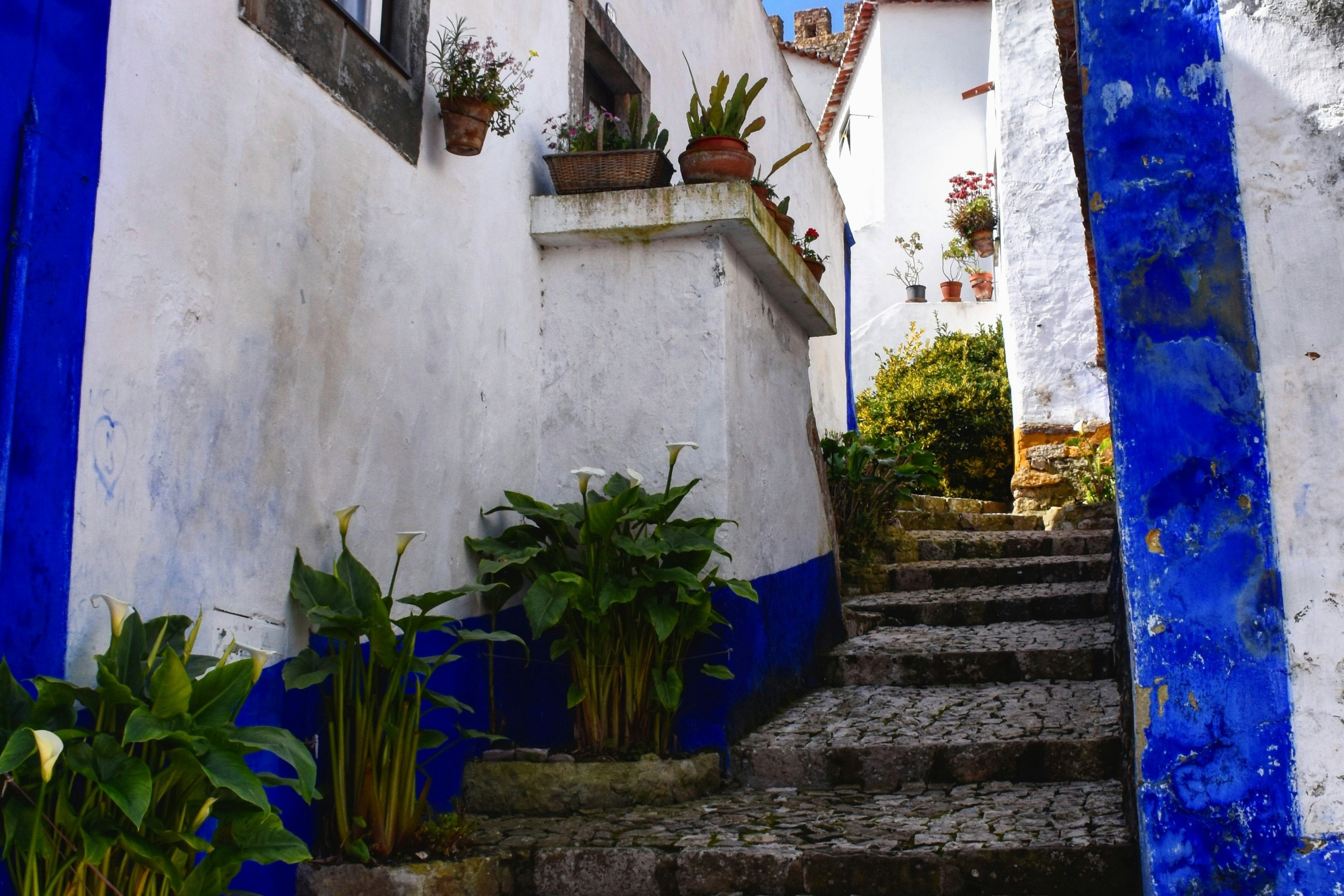 staircases through obidos
