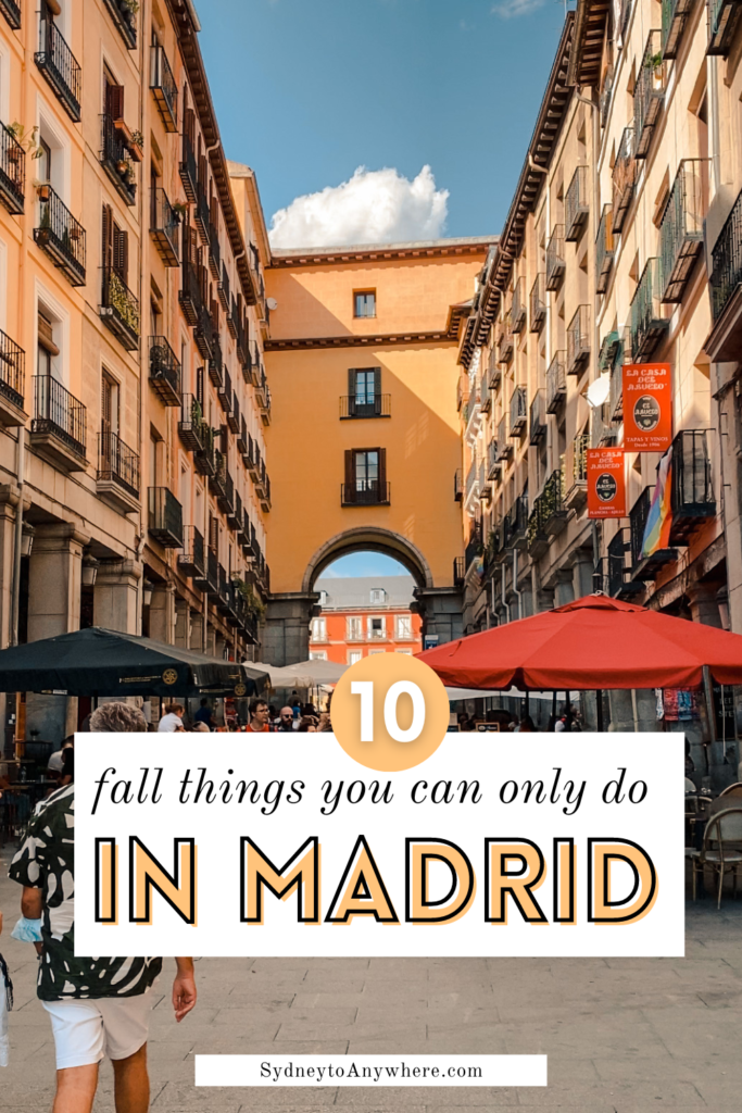 Madrid in Fall Pin