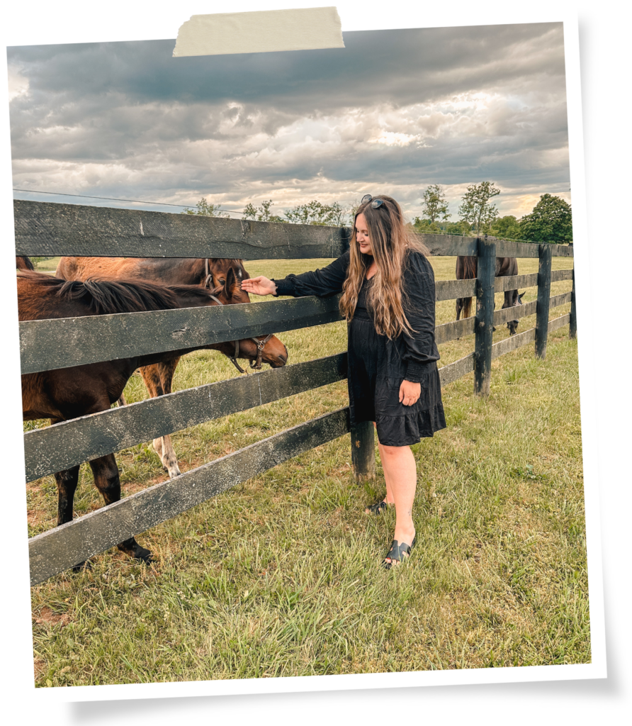 Visiting horses in Kentucky wine country.