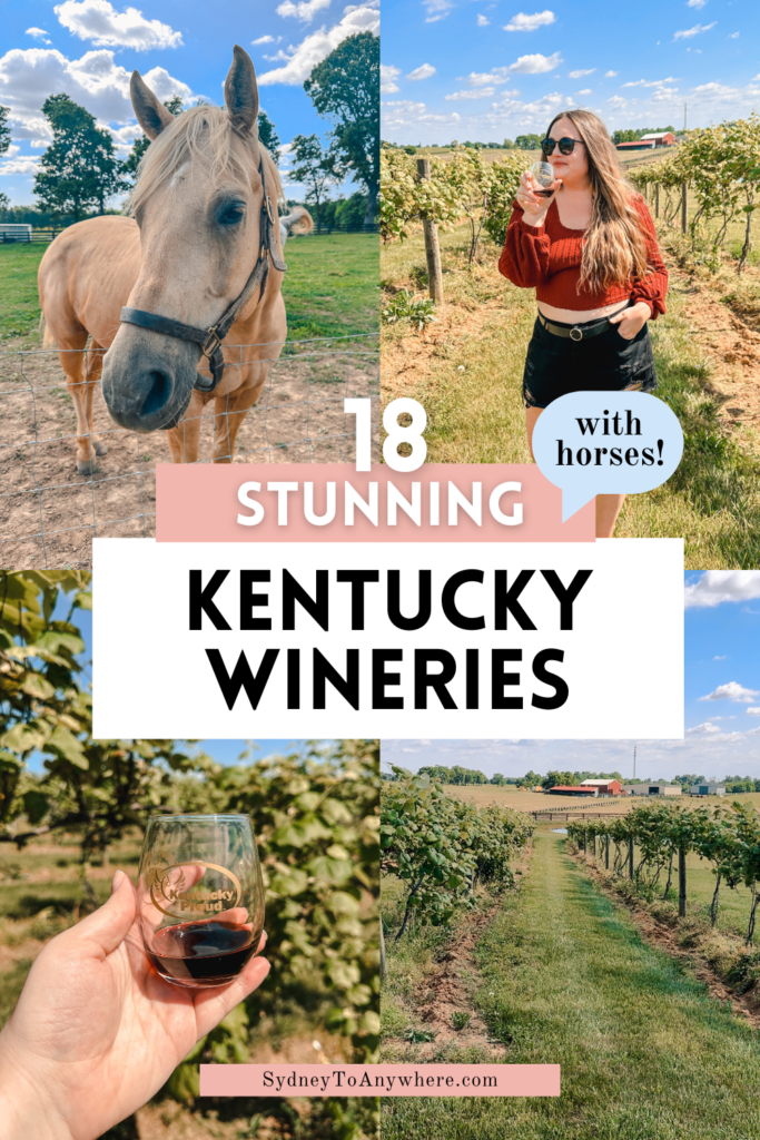 The Best Kentucky Wineries Pin