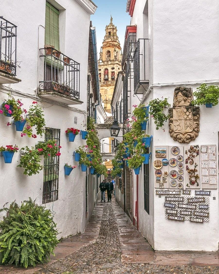 Cordoba's most photographed street: alley of the flowers