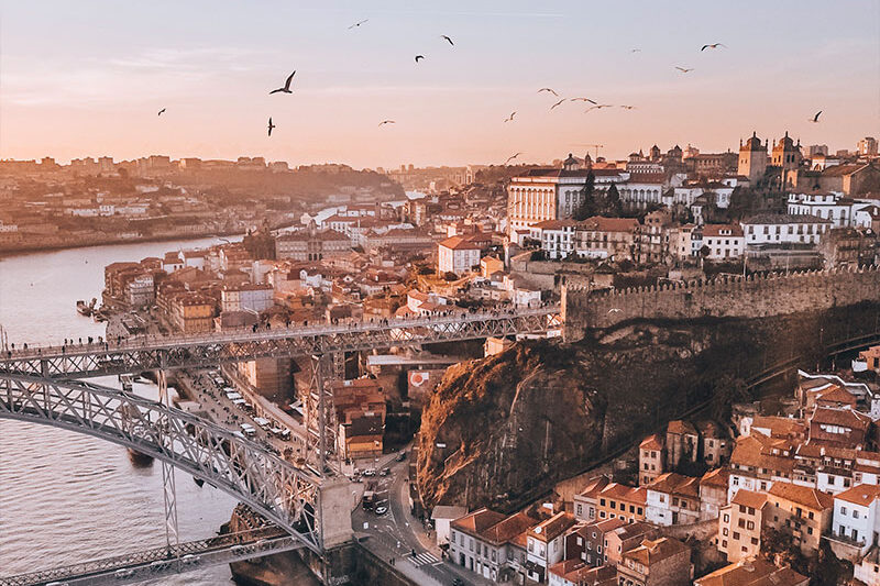 birds fly over dom luis bridge