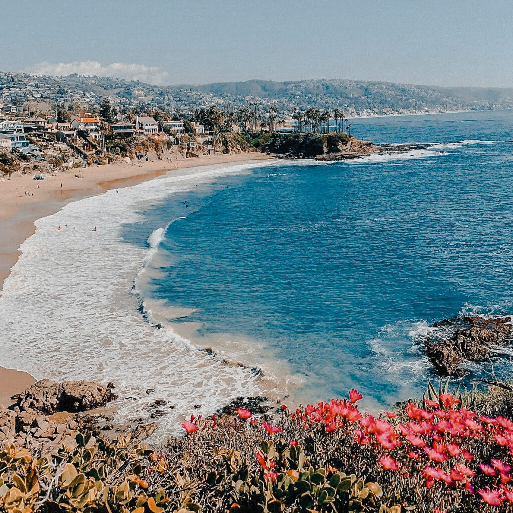 Crescent Bay Beach with flowers