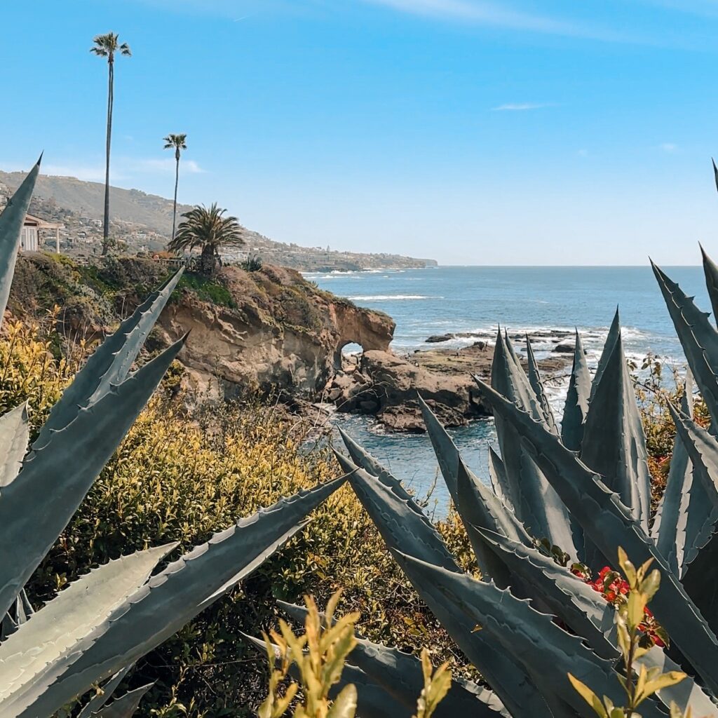 Treasure Island Beach