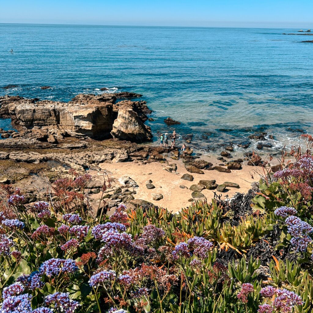 Shaw's Cove