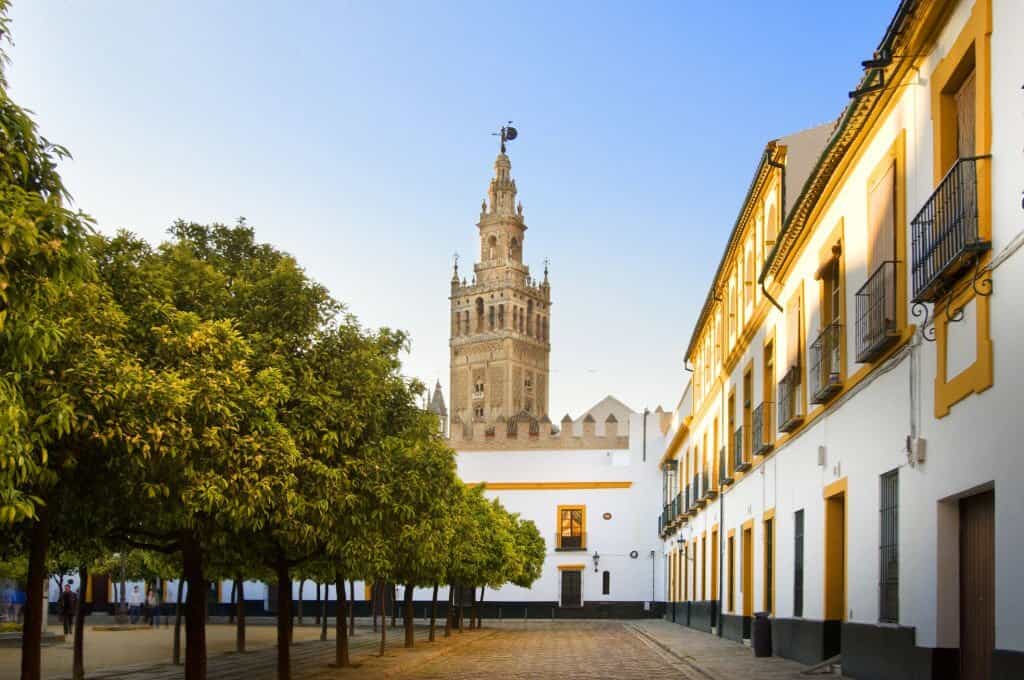 seville and cathedral cityscape