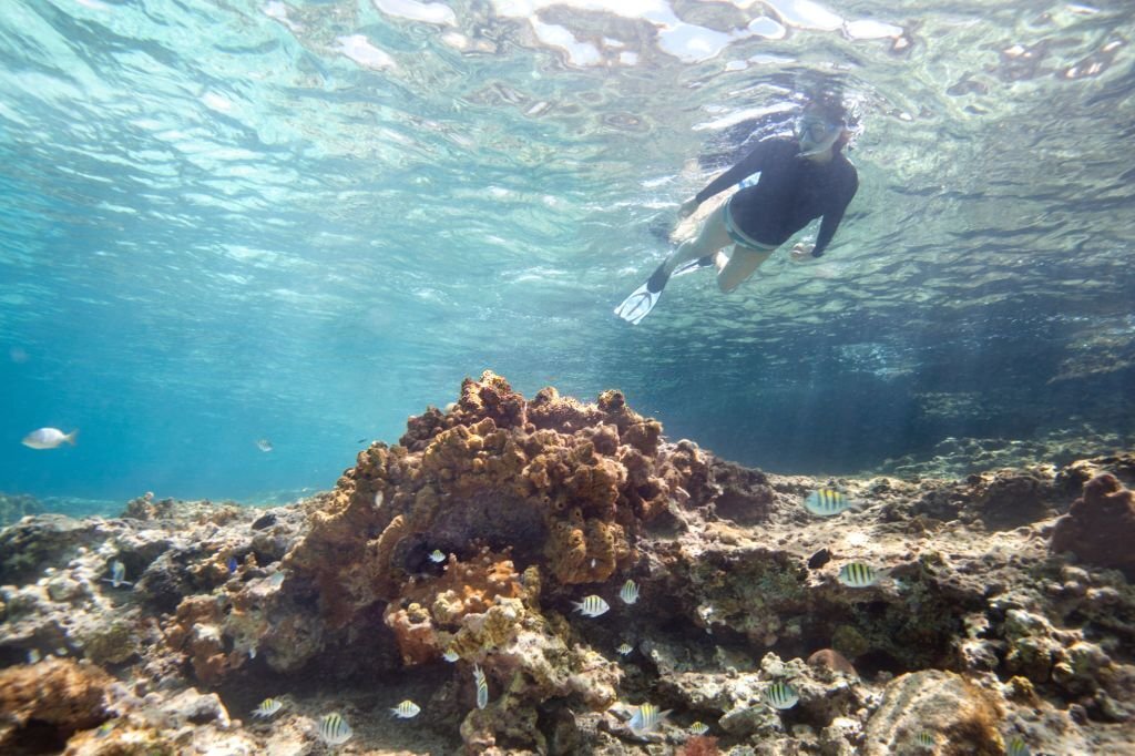 Snorkeling in California