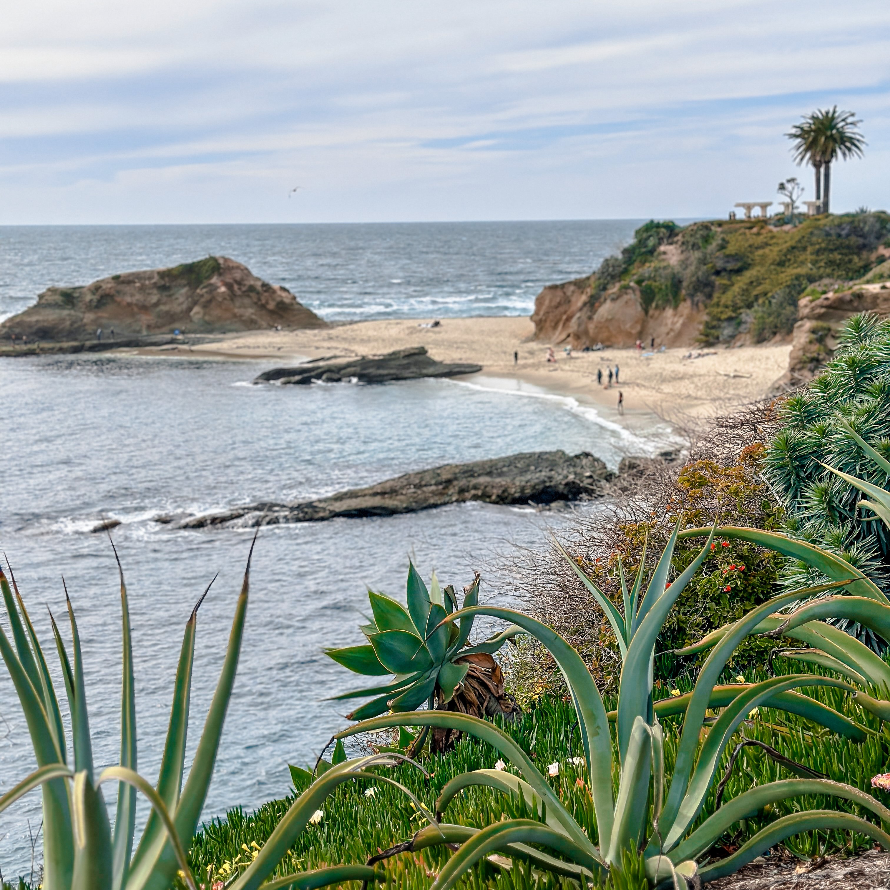 Treasure Island Cliffs