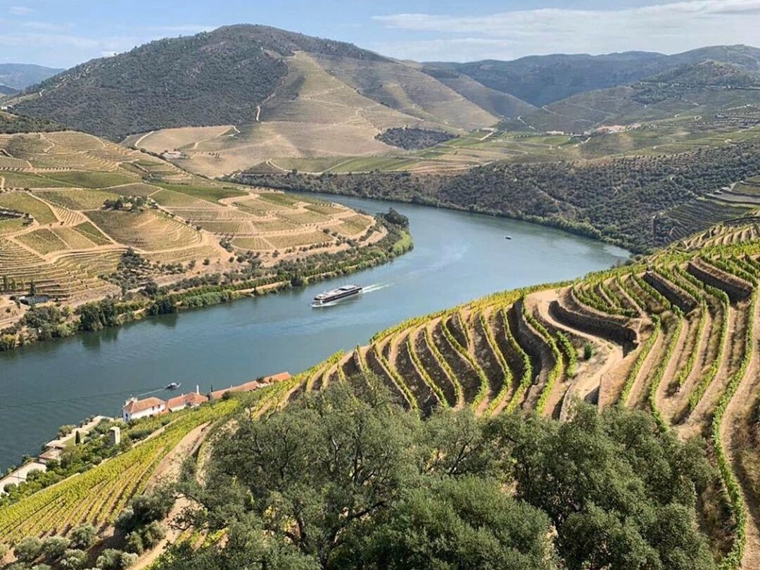 View of Douro hills and river