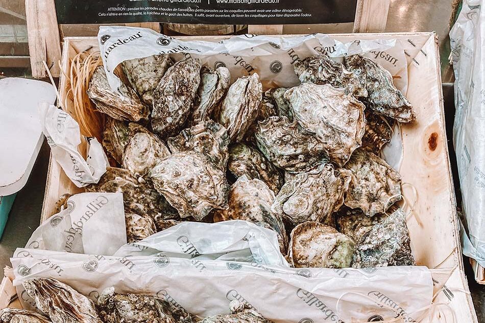 oysters from a market in spain
