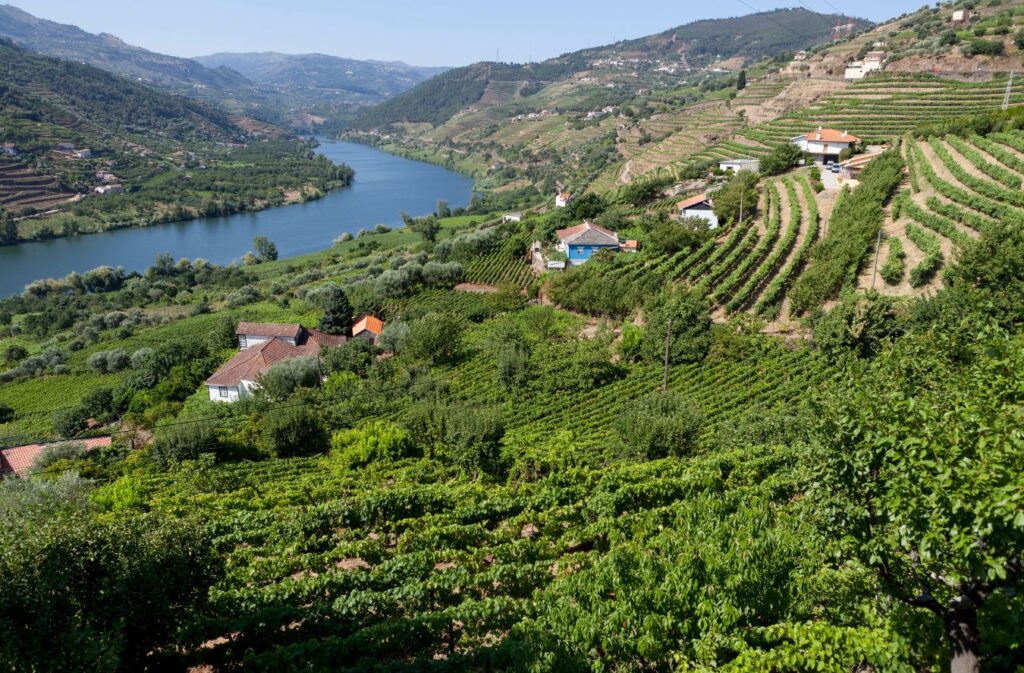 douro river valley and hills