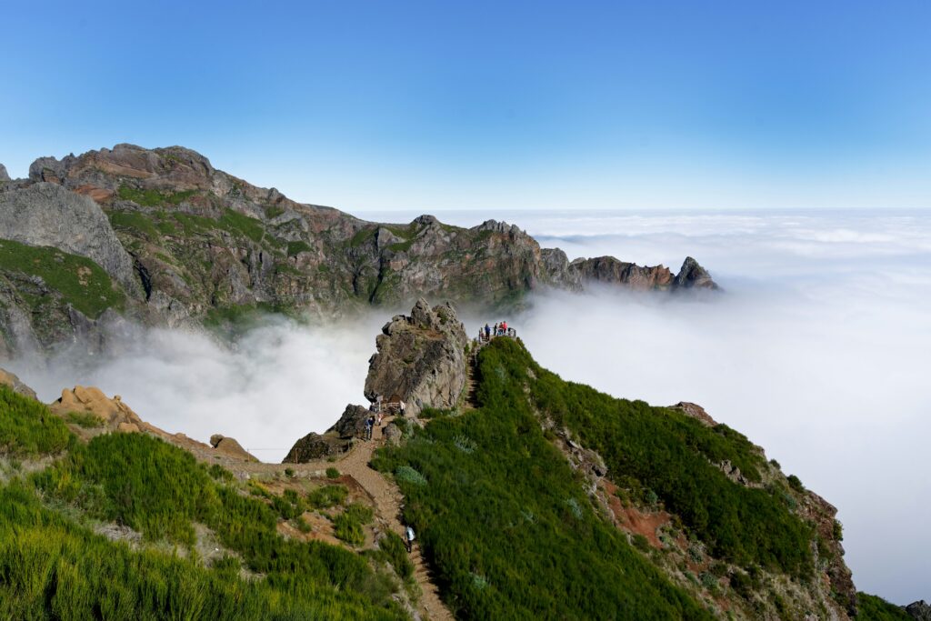pico de ariero