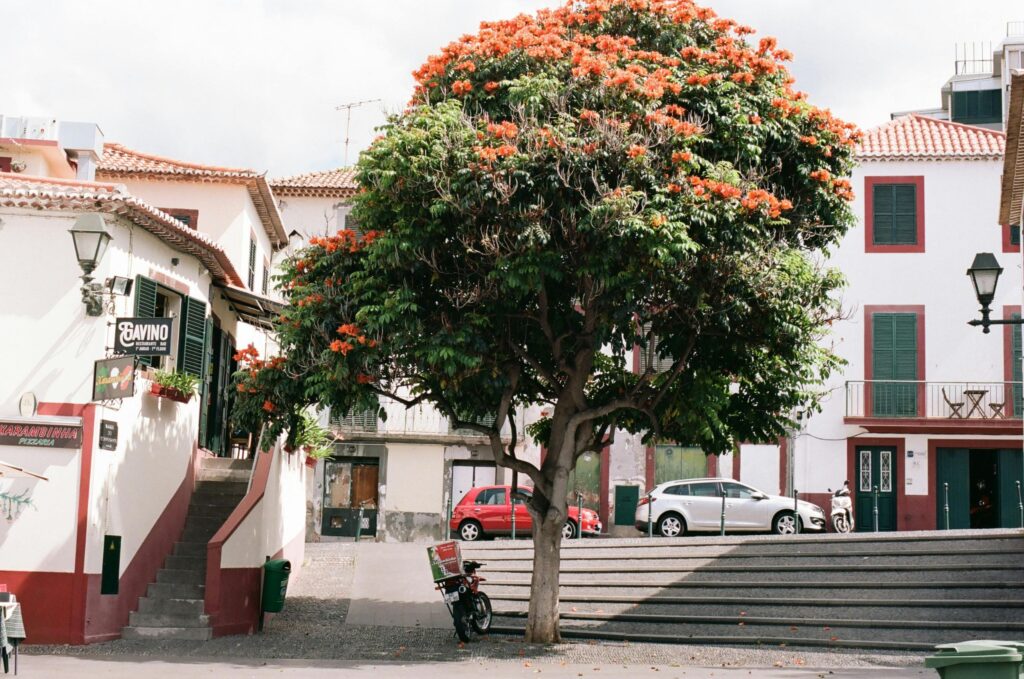 madeira funchal town center