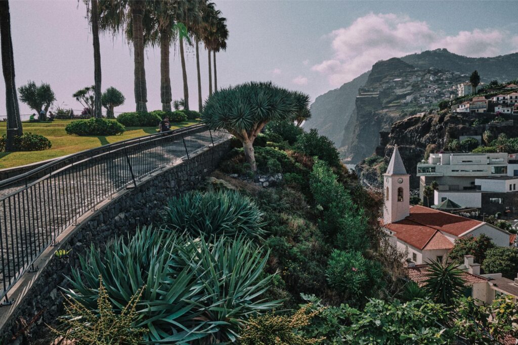 madeira scenery