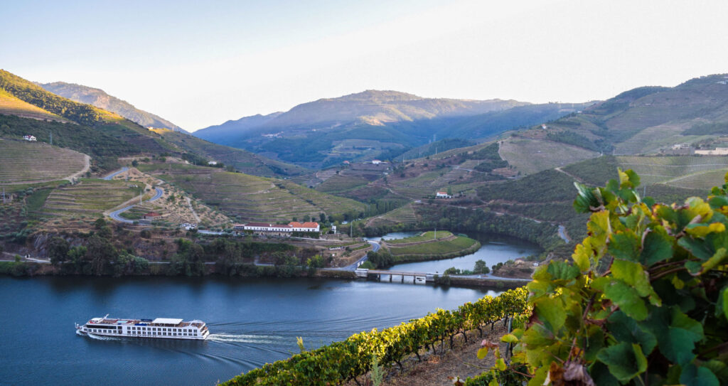 quinta do tedo