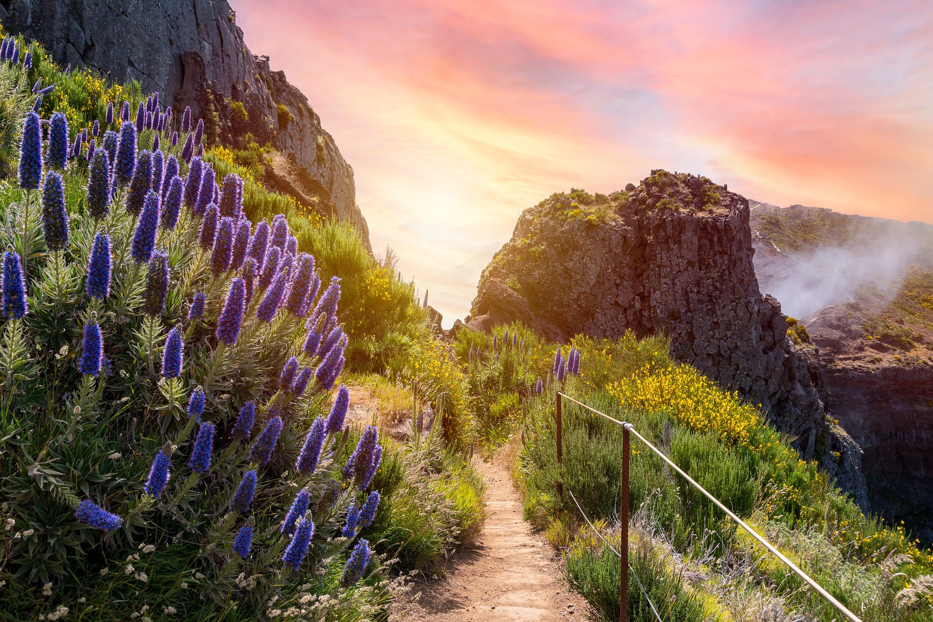 madeira instagram spots